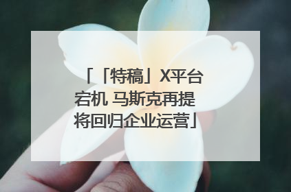 「特稿」X平台宕机 马斯克再提将回归企业运营