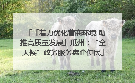 「着力优化营商环境 助推高质量发展」瓜州：“全天候”政务服务惠企便民
