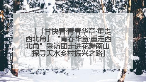 「甘快看·青春华章·重走西北角」“青春华章·重走西北角”采访团走进花舞南山 探寻天水乡村振兴之路