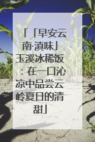 「早安云南·滇味」玉溪冰稀饭：在一口沁凉中品尝云岭夏日的清甜