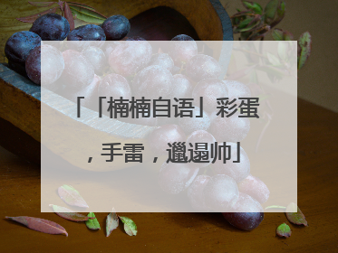 「楠楠自语」彩蛋，手雷，邋遢帅