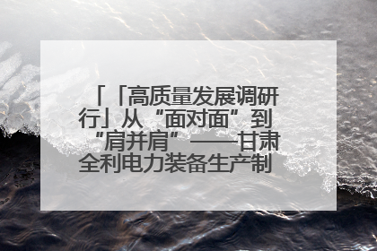 「高质量发展调研行」从“面对面”到“肩并肩”——甘肃全利电力装备生产制造项目一线见闻