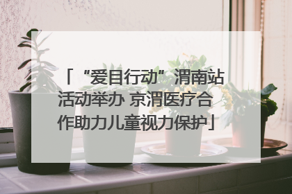 “爱目行动”渭南站活动举办 京渭医疗合作助力儿童视力保护