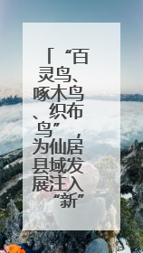“百灵鸟、啄木鸟、织布鸟”，为仙居县域发展注入“新”动能