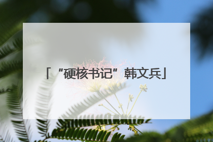 “硬核书记”韩文兵