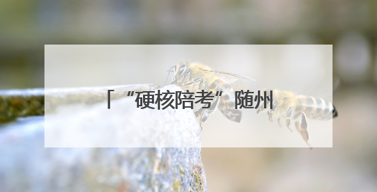“硬核陪考”随州消防全力护航中考 筑梦青春安全路