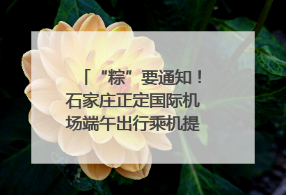 “粽”要通知！石家庄正定国际机场端午出行乘机提示，快来get