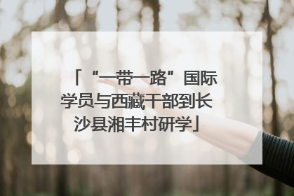 “一带一路”国际学员与西藏干部到长沙县湘丰村研学