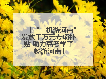 “一机游河南”发放千万元专项补贴 助力高考学子畅游河南