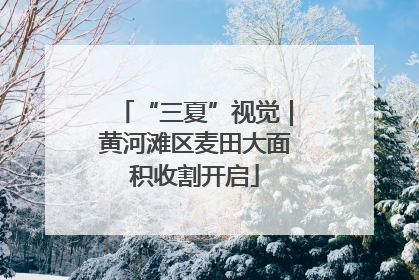 “三夏”视觉｜黄河滩区麦田大面积收割开启