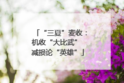 “三夏”麦收：机收“大比武” 减损论“英雄”