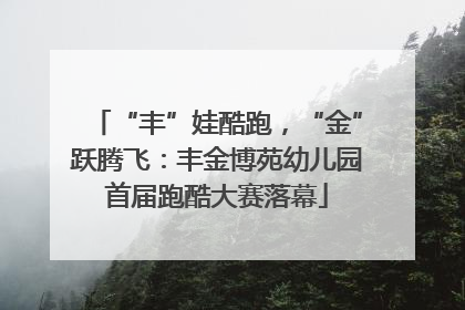 “丰”娃酷跑，“金”跃腾飞：丰金博苑幼儿园首届跑酷大赛落幕