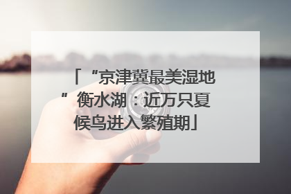 “京津冀最美湿地”衡水湖：近万只夏候鸟进入繁殖期