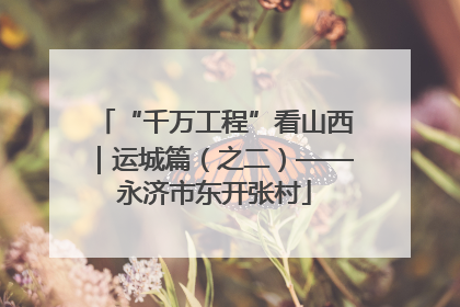 “千万工程”看山西｜运城篇（之二）——永济市东开张村