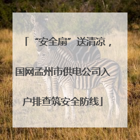 “安全扇”送清凉，国网孟州市供电公司入户排查筑安全防线