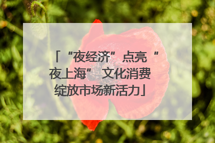 “夜经济”点亮“夜上海” 文化消费绽放市场新活力