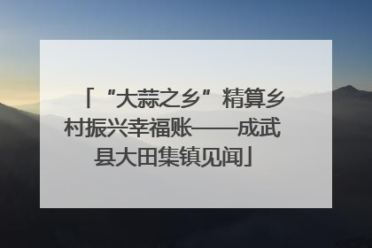 “大蒜之乡”精算乡村振兴幸福账——成武县大田集镇见闻