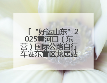 “好运山东”2025黄河口（东营）国际公路自行车赛东营区龙居站 完美“抄作业”，苦战最后时刻黄衫易主