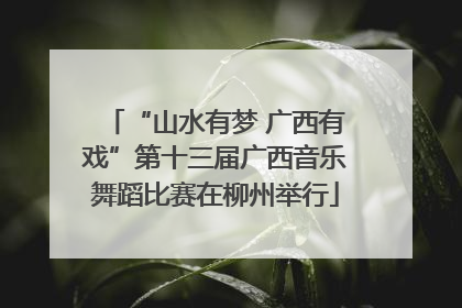 “山水有梦 广西有戏”第十三届广西音乐舞蹈比赛在柳州举行