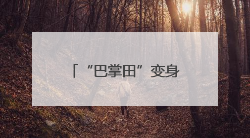 “巴掌田”变身万亩良田 四川合江耕地面积连续三年净增长
