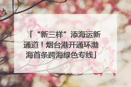 “新三样”添海运新通道！烟台港开通环渤海首条跨海绿色专线