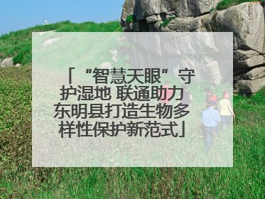 “智慧天眼”守护湿地 联通助力东明县打造生物多样性保护新范式