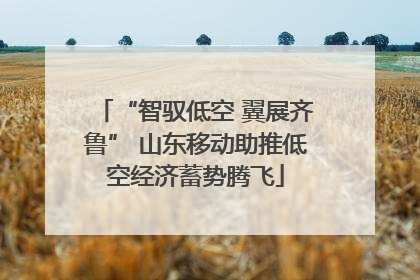 “智驭低空 翼展齐鲁” 山东移动助推低空经济蓄势腾飞