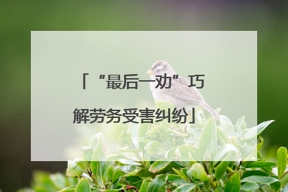 “最后一劝”巧解劳务受害纠纷