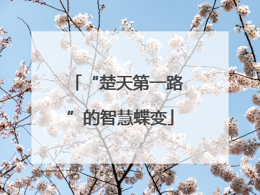 “楚天第一路”的智慧蝶变