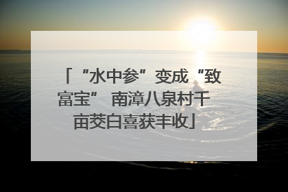 “水中参”变成“致富宝” 南漳八泉村千亩茭白喜获丰收