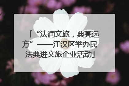 “法润文旅，典亮远方”——江汉区举办民法典进文旅企业活动