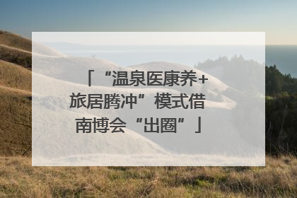 “温泉医康养+旅居腾冲”模式借南博会“出圈”