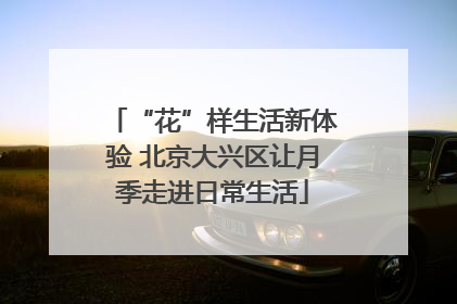 “花”样生活新体验 北京大兴区让月季走进日常生活