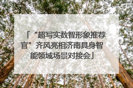 “超写实数智形象推荐官”齐风亮相济南具身智能领域场景对接会