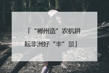 “郴州造”农机耕耘非洲好“丰”景