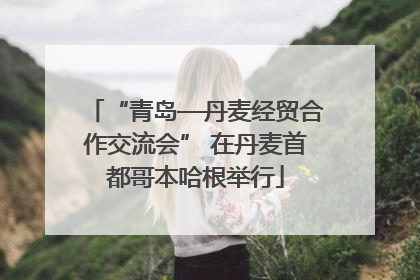 “青岛—丹麦经贸合作交流会” 在丹麦首都哥本哈根举行