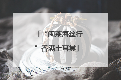 “闽茶海丝行”香满土耳其