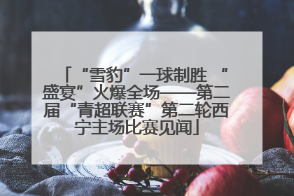 “雪豹”一球制胜 “盛宴”火爆全场——第二届“青超联赛”第二轮西宁主场比赛见闻