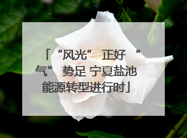 “风光” 正好 “气” 势足 宁夏盐池能源转型进行时