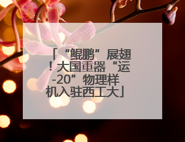 “鲲鹏”展翅！大国重器“运-20”物理样机入驻西工大