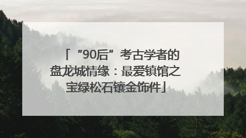 “90后”考古学者的盘龙城情缘：最爱镇馆之宝绿松石镶金饰件