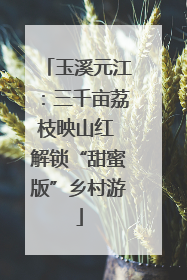 玉溪元江：三千亩荔枝映山红 解锁“甜蜜版”乡村游
