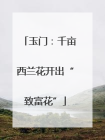 玉门：千亩西兰花开出“致富花”