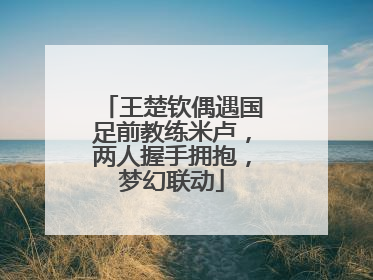 王楚钦偶遇国足前教练米卢，两人握手拥抱，梦幻联动