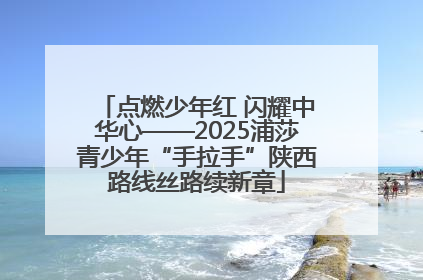 点燃少年红 闪耀中华心——2025浦莎青少年“手拉手”陕西路线丝路续新章