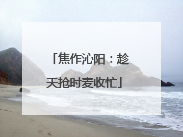 焦作沁阳：趁天抢时麦收忙