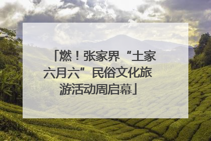 燃！张家界“土家六月六”民俗文化旅游活动周启幕