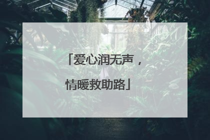 爱心润无声，情暖救助路