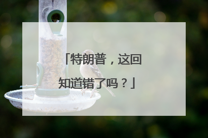 特朗普，这回知道错了吗？