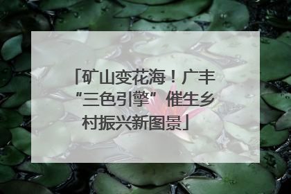 矿山变花海！广丰“三色引擎”催生乡村振兴新图景